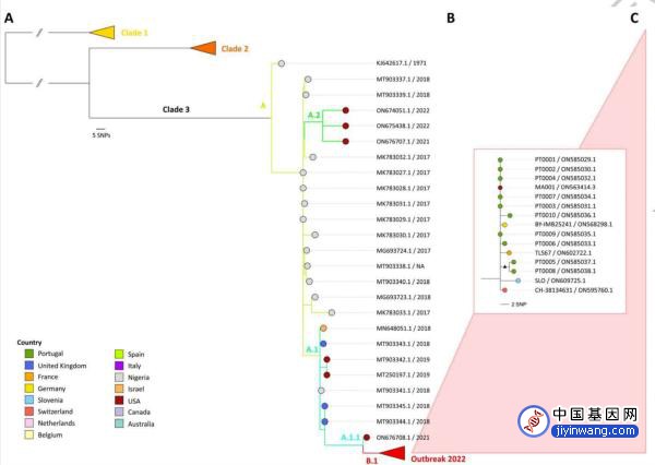 《自然》：基因组数据揭示猴痘疫情演化轨迹，病毒或加速适应人体