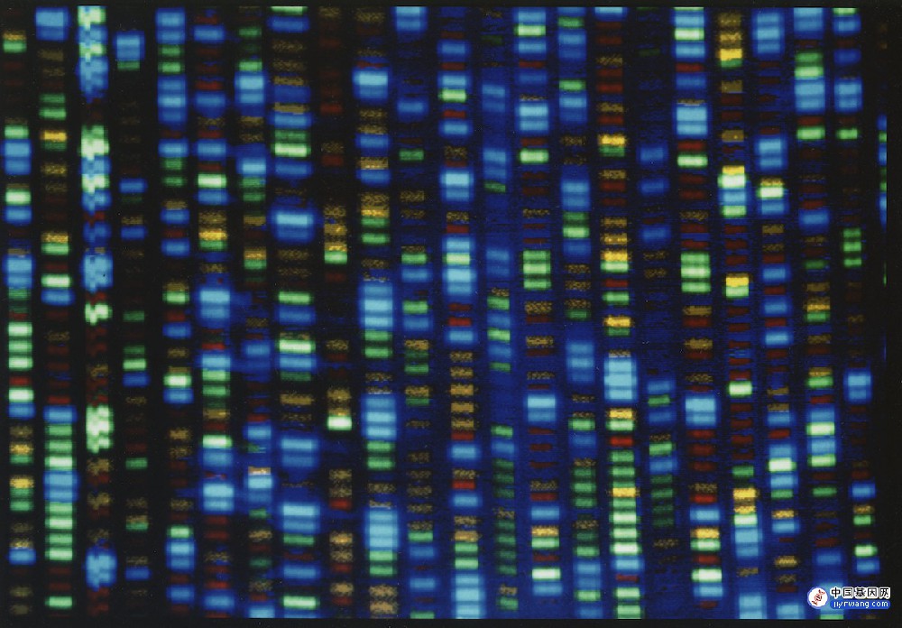 历史性突破！国际科学团队完成人类最完整的基因组序列