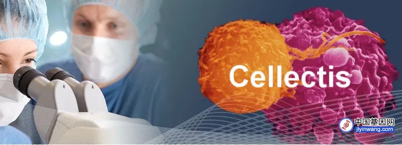 癌症治疗的飞跃：基因编辑T细胞个性化治癌首次人体临床试验