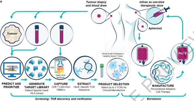 Nature | 首个CRISPR基因编辑TCR-T疗法I期临床数据公布，癌症细胞免疫治疗有望迎来新飞跃