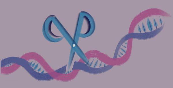 DNA与基因科学的六大里程碑事件
