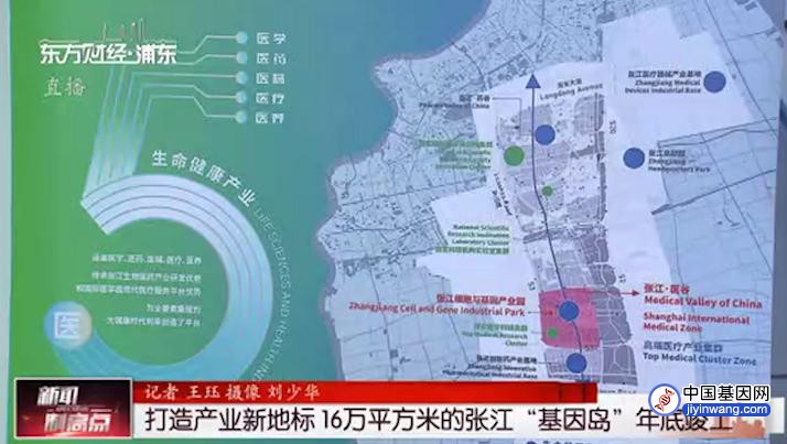 打造产业新地标 16万平方米的张江“基因岛”年底竣工