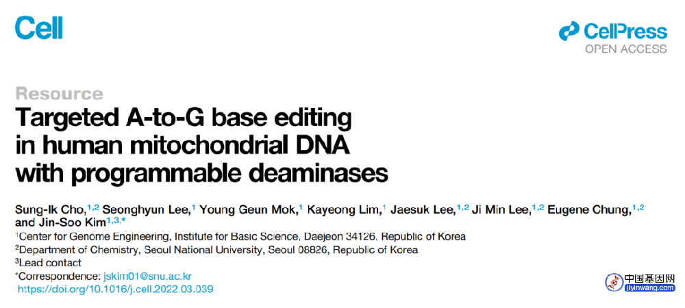Cell：补齐基因编辑最后缺口，开启线粒体基因编辑新时代