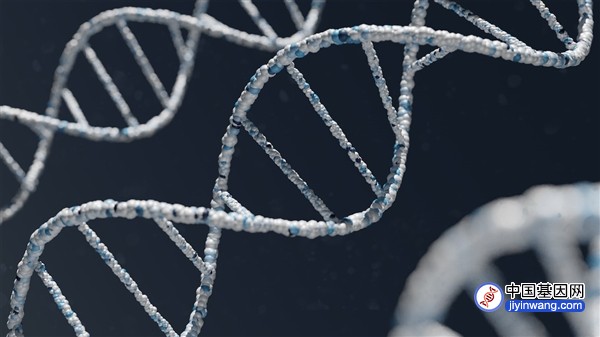 遇害近50年后 美国“沙丘女士”身份之谜被最新DNA技术揭开