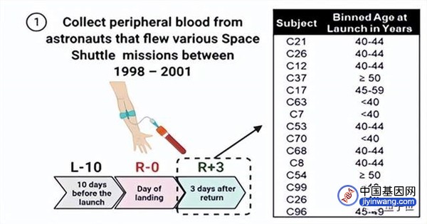 最新研究：宇航员血液样本中个个都带基因突变