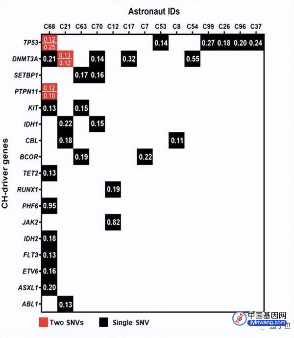 最新研究：宇航员血液样本中个个都带基因突变
