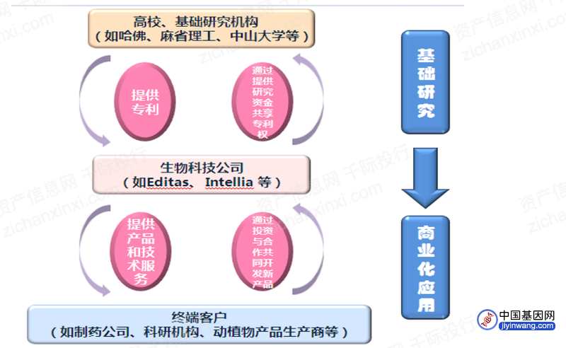 2022年基因编辑行业研究报告