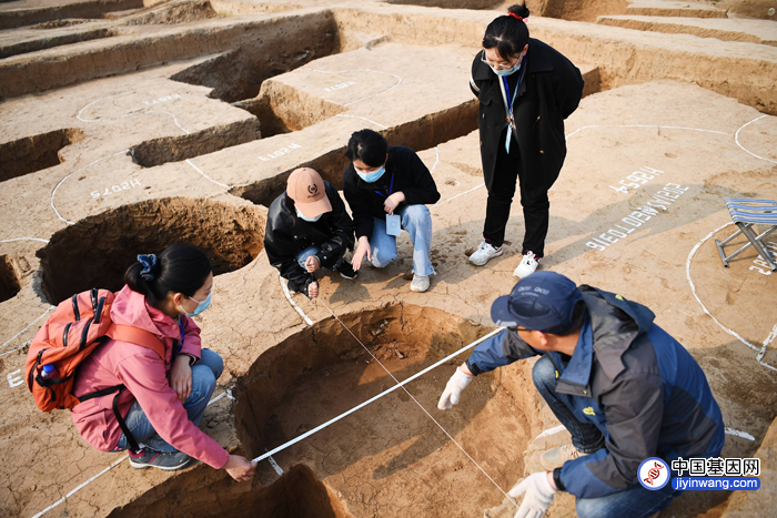 解读中华文明基因的古老密码--殷墟考古成果探查