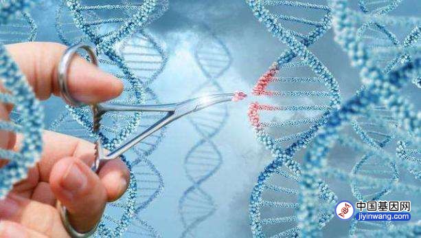 专家提醒：CRISPR基因编辑治疗癌症需注意安全隐患