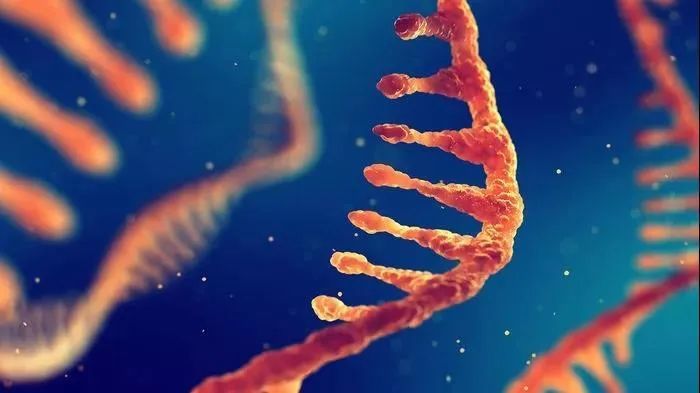 日本单细胞RNA测序新技术提供基因表达高精数据