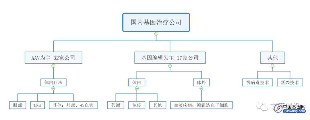 图3 国内基因治疗公司赛道情况（来源：各公司官网及公开资料，丰硕创投整理）