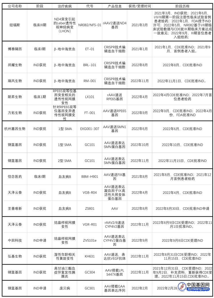 图4 国内临床/IND申请阶段基因治疗公司管线情况（来源：各公司官网及公开资料，丰硕创投整理）