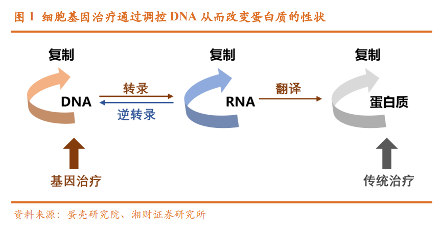 医药行业专题研究：细胞基因治疗CDMO未来可期