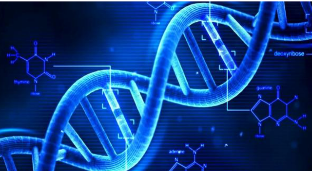 Cell：新研究揭示人类5000多个必需基因表型图谱