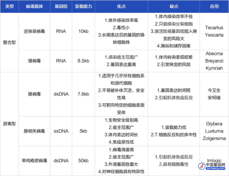 基因治疗：从根治愈，前景广阔