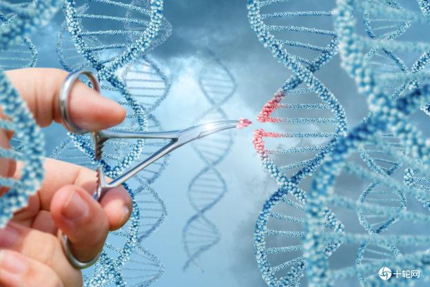“基因疗法”能治愈严重血友病，欧盟正式核准