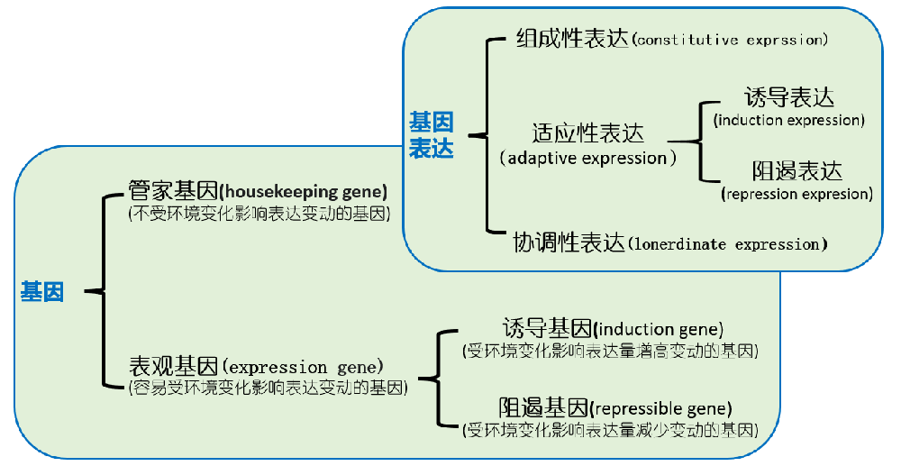 基因科普：什么是遗传基因和基因表达？