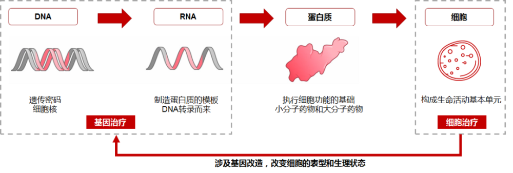 基因治疗投资热下的“冷思考”：未来趋势如何？投资机遇何在？