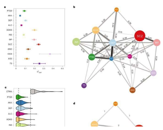 Nat Genet：全基因组关联性研究揭示12种人类精神疾病之间的遗传重叠特性