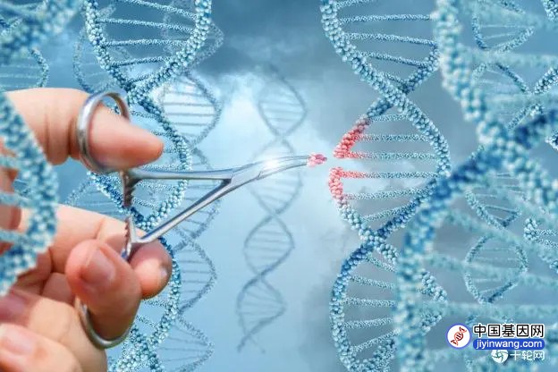 “基因疗法”能治愈严重血友病，欧盟正式核准