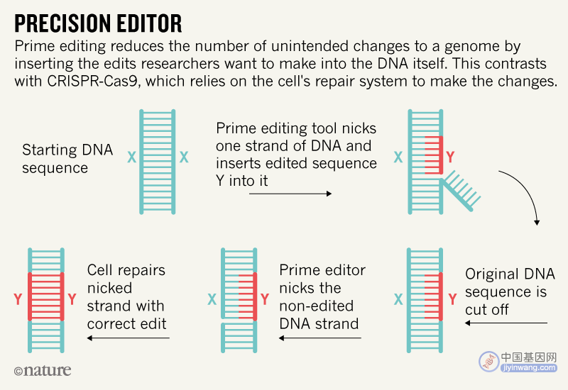 西湖大学马丽佳团队开发新型CRISPR脱靶和DNA易位基因检测工具