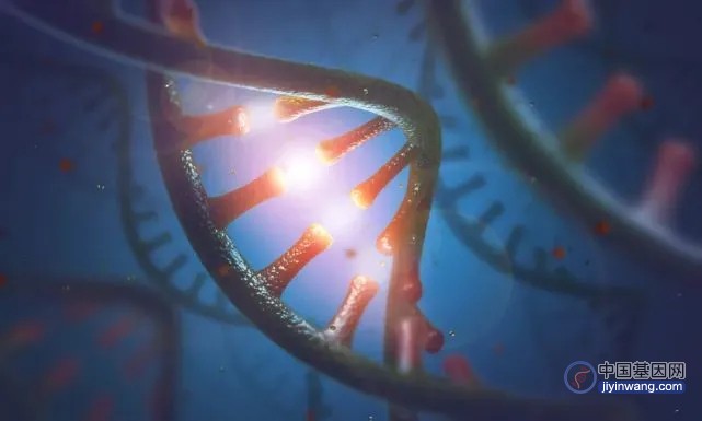 《自然·遗传学》：迄今最大规模外显子水平研究发现阿尔茨海默病新风险基因！