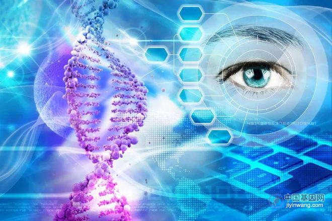 速递！纽福斯生物第2款眼科基因疗法在美国FDA获批临床