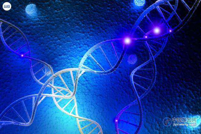 全新升级!华大基因推出1200+种单基因遗传病携带者筛查!
