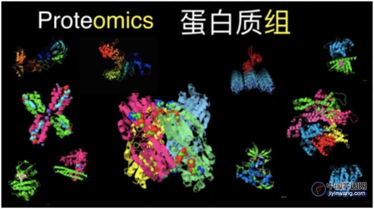 量质齐升！华大基因蛋白质组全年科研回顾
