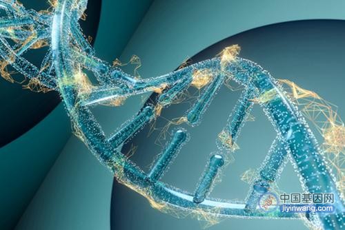 从人类基因组计划1%起步，20年中国基因测序研究跻身世界前列