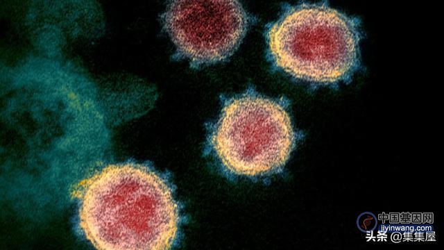科学家们的基因分析表明，新冠病毒来自自然界，而非实验室