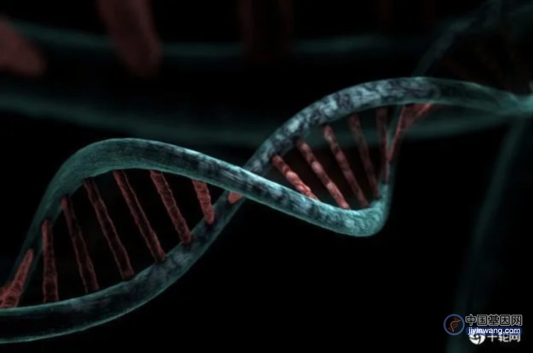 DNA上发现超过百个全新基因，表明人类仍在不断进化