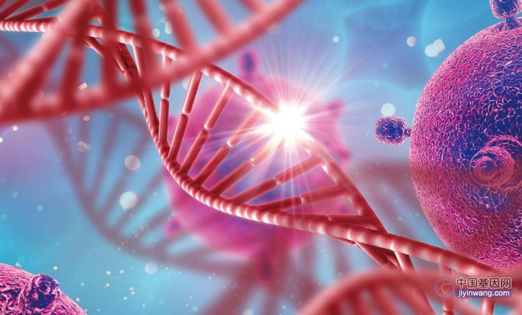 Nature：科学家发现能开启癌症基因表达的基因突变