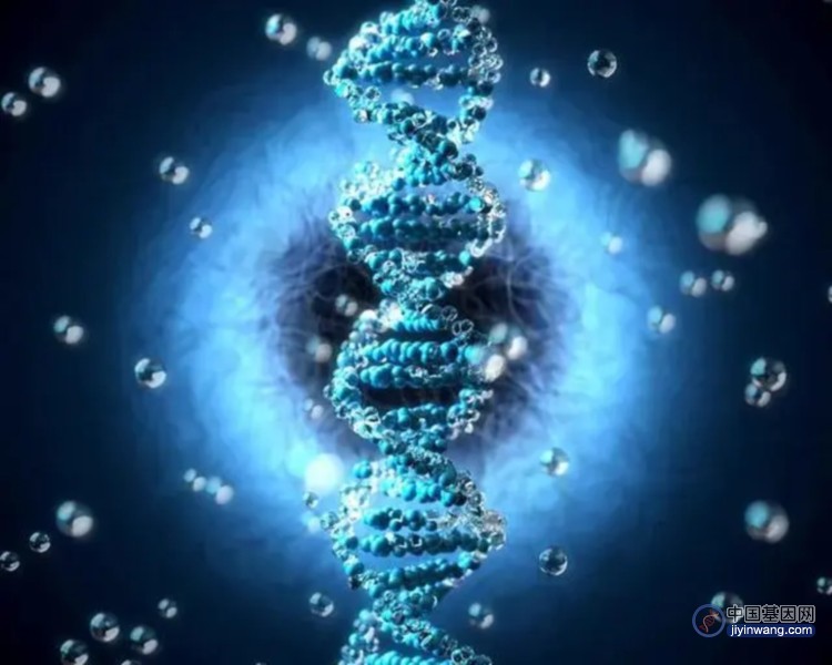 新技术追踪人类基因组，暴露其有害突变的进化弱点