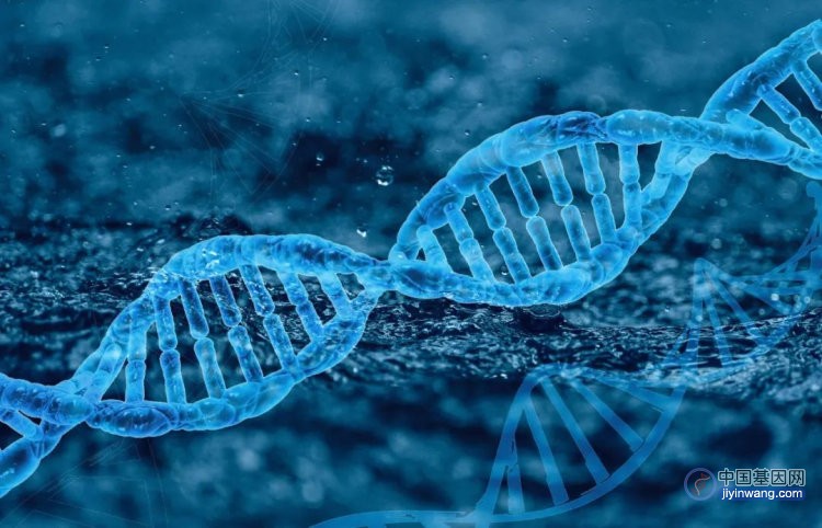 基因科普：“基因”和“Gene” 这两个词是怎么来的？