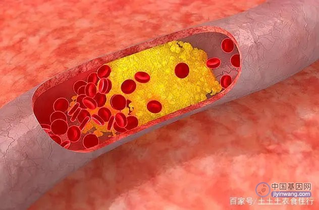 来自罕见基因突变的10种神奇力量：要说病毒可怕，那是吓唬人的！