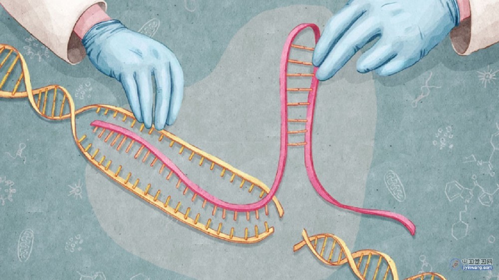 研究人员数十年研究CRISPR基因编辑以治愈 HIV