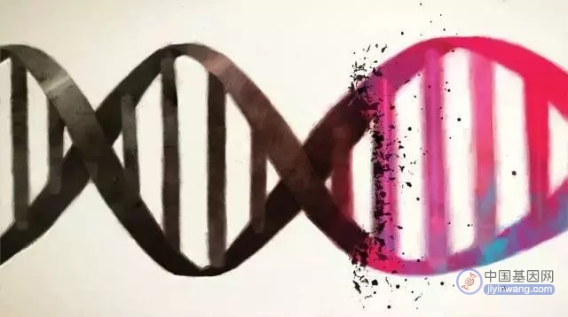 演化是变废为宝的大师，新基因可从“垃圾DNA”中诞生