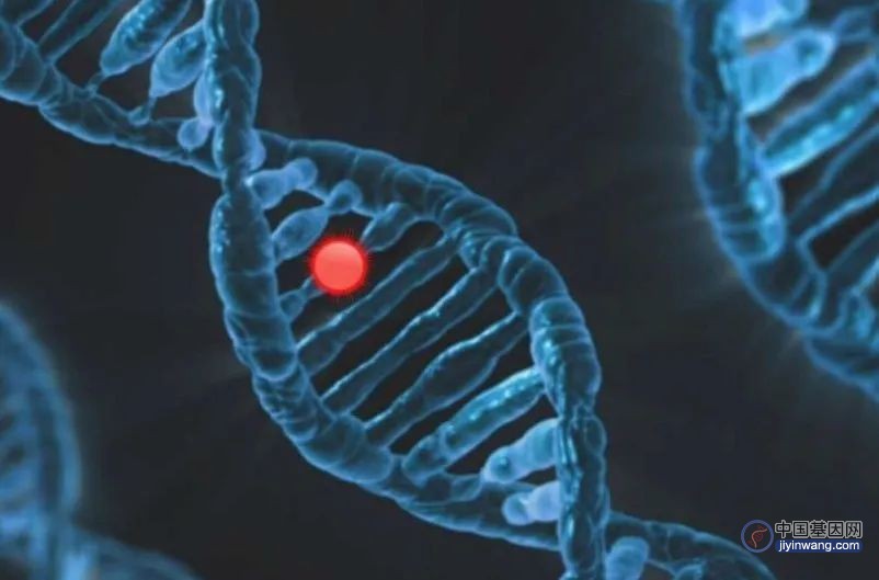 哈佛等科学家确定基因靶标以提高癌症免疫治疗的有效性