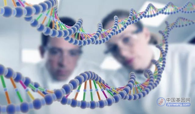 基因科普：基因检测的终极意义，了解过去，预知未来！