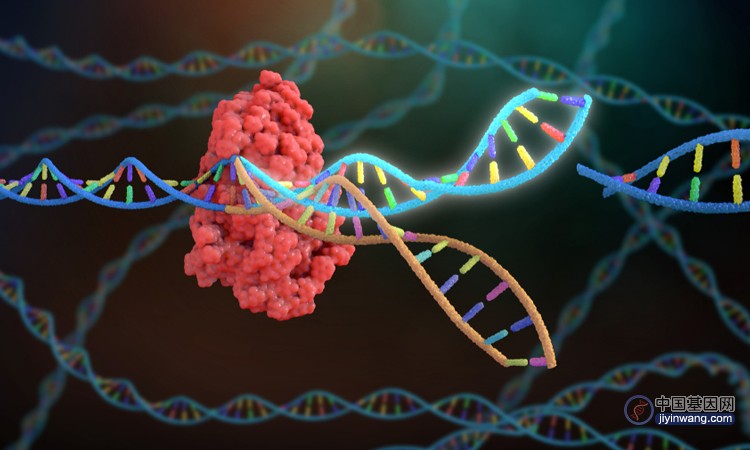基因组编十周年，CRISPR技术发展的前世今生