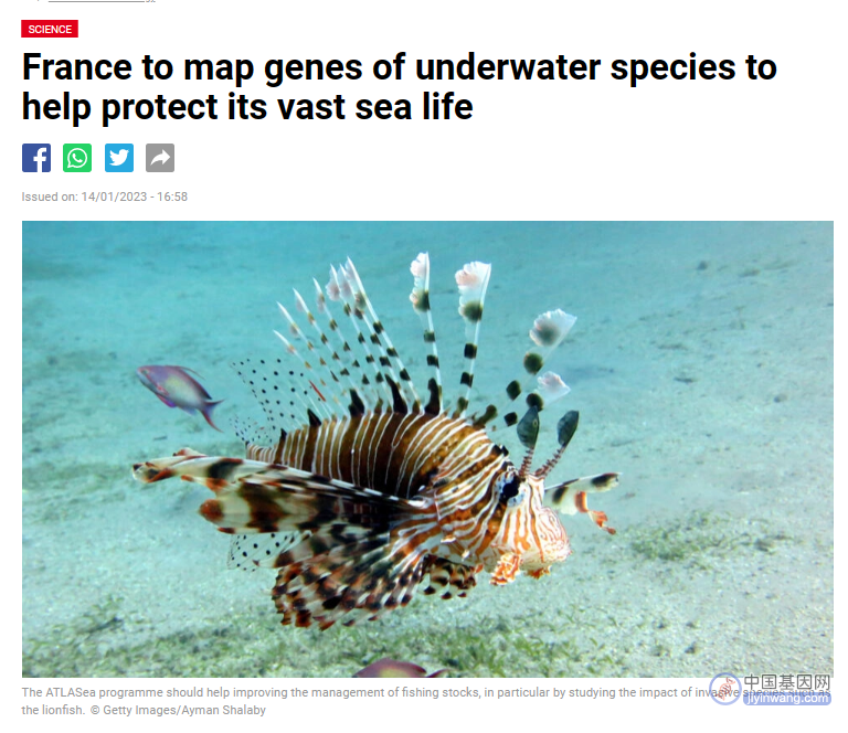 法国将绘制水下物种的基因图谱，助力保护海洋生物多样性