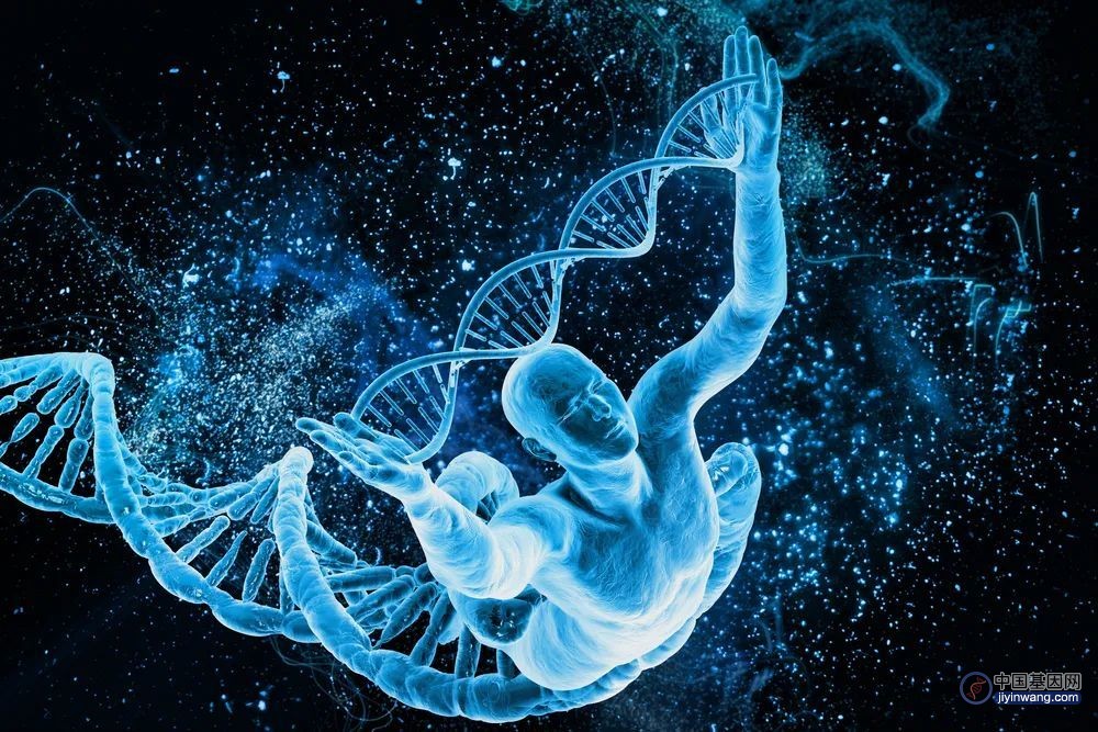 基因是什么？它真的能够决定我们的生老病死吗？