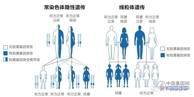 耳聋基因检测市场分析，我国第二大出生缺陷疾病