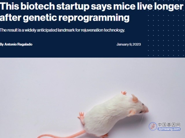 美科学家：基因疗法让实验小鼠寿命翻倍，能否推动人类寿命跃升？