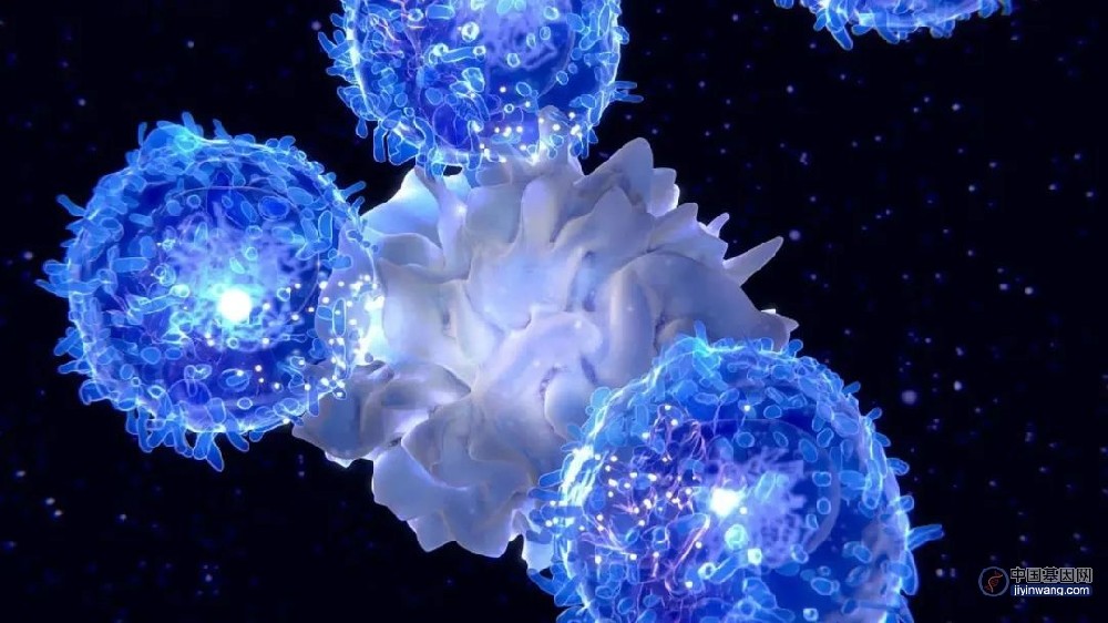 瑞士团队找到驱动T淋巴细胞耗尽的基因，提高细胞免疫治疗有效性