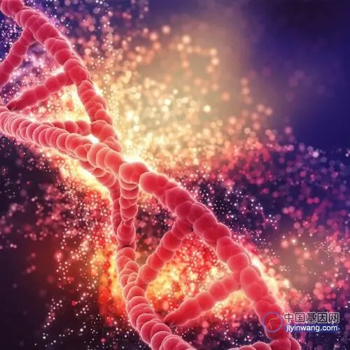 Chem-map新DNA测序技术打开基因组“黑匣子”