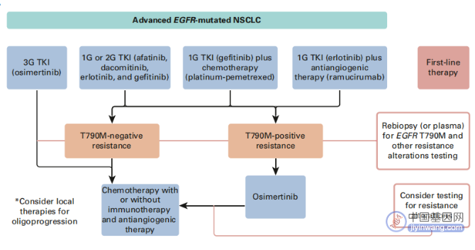 非小细胞肺癌（NSCLC）14种致癌驱动基因最新进展