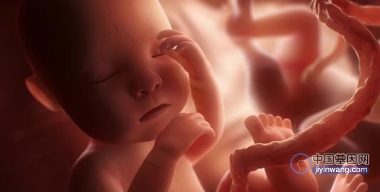 医生基因定制亲生孩子，全球首个“完美婴儿”如今已2岁