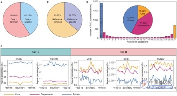 Genome Biology：遗传发育所解析大豆三维基因组遗传多样性